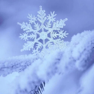 香蕉视频app下载
