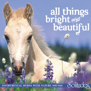 香蕉视频app下载
